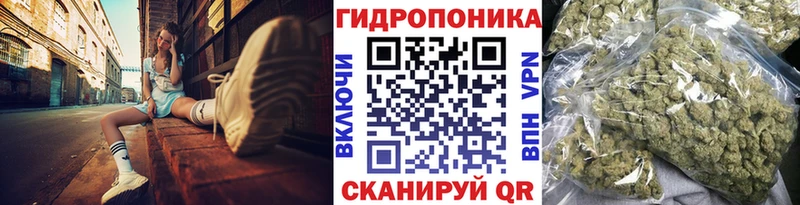 Шишки марихуана MAZAR  ОМГ ОМГ ТОР  Новосокольники 